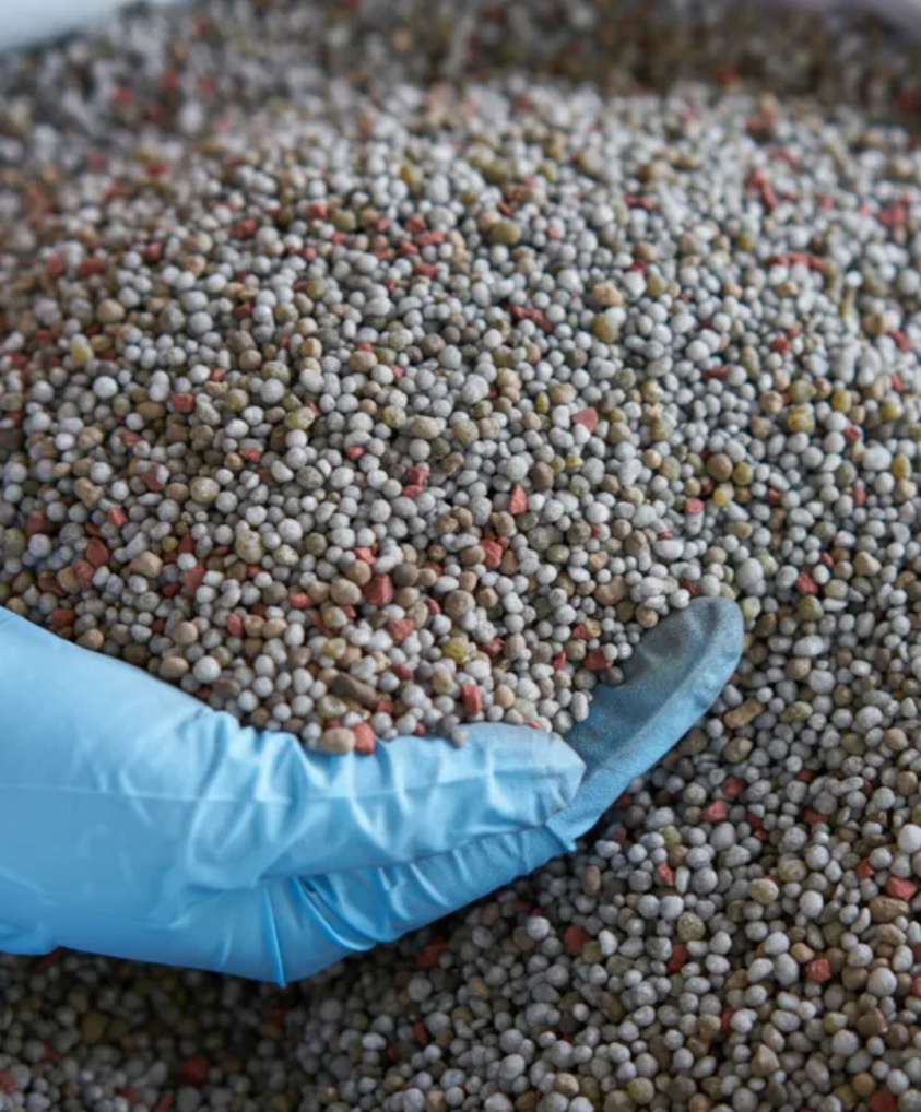 Screenshot 2025-09-20 002107